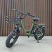 Freego FB-20X Step-thru Fat Tire Electric Bike - Image 11