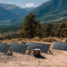 Jackery SolarSaga 200W Portable Solar Panel