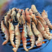 Arteflame Grill Grate (10") For 20" 