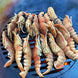 Arteflame Grill Grate (14")For 30" 
