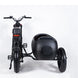 Sidecar For Electric Bike
