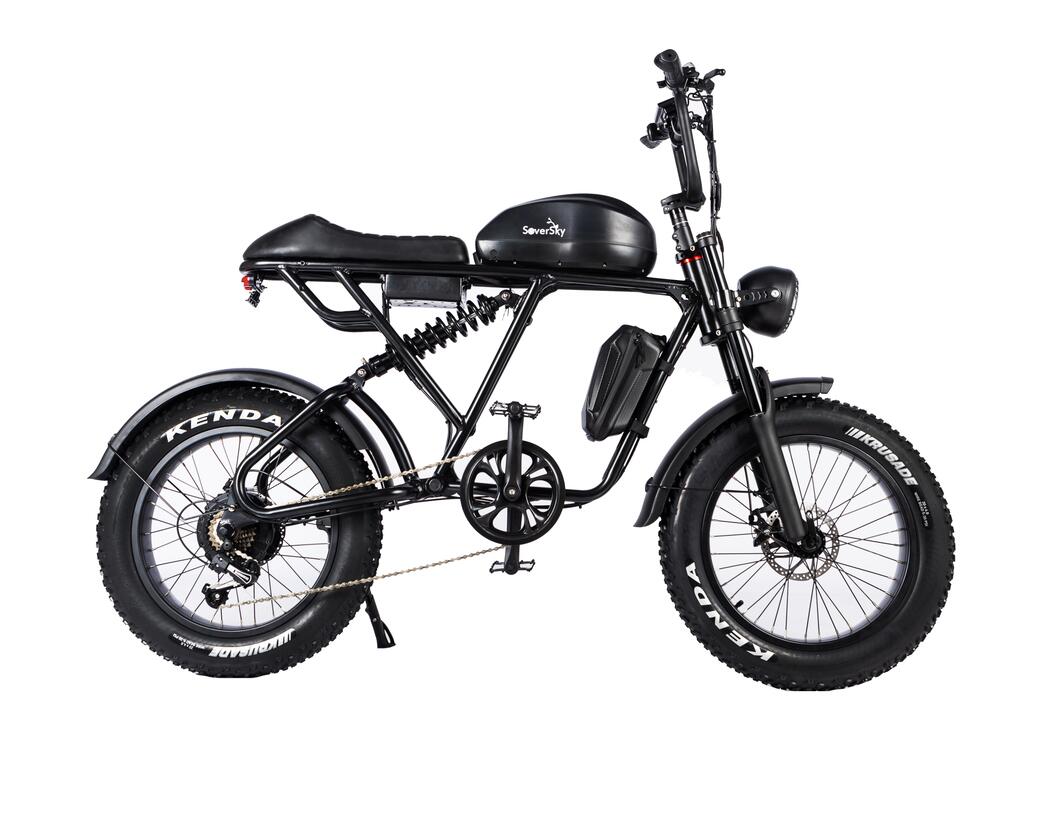 Electric Fat Tire Bike Shimano 7-Speed Titan 500