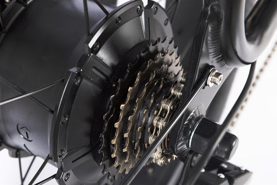 Electric Fat Tire Bike Shimano 7-Speed Titan 500