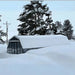Grandio Summit 12x24 Greenhouse