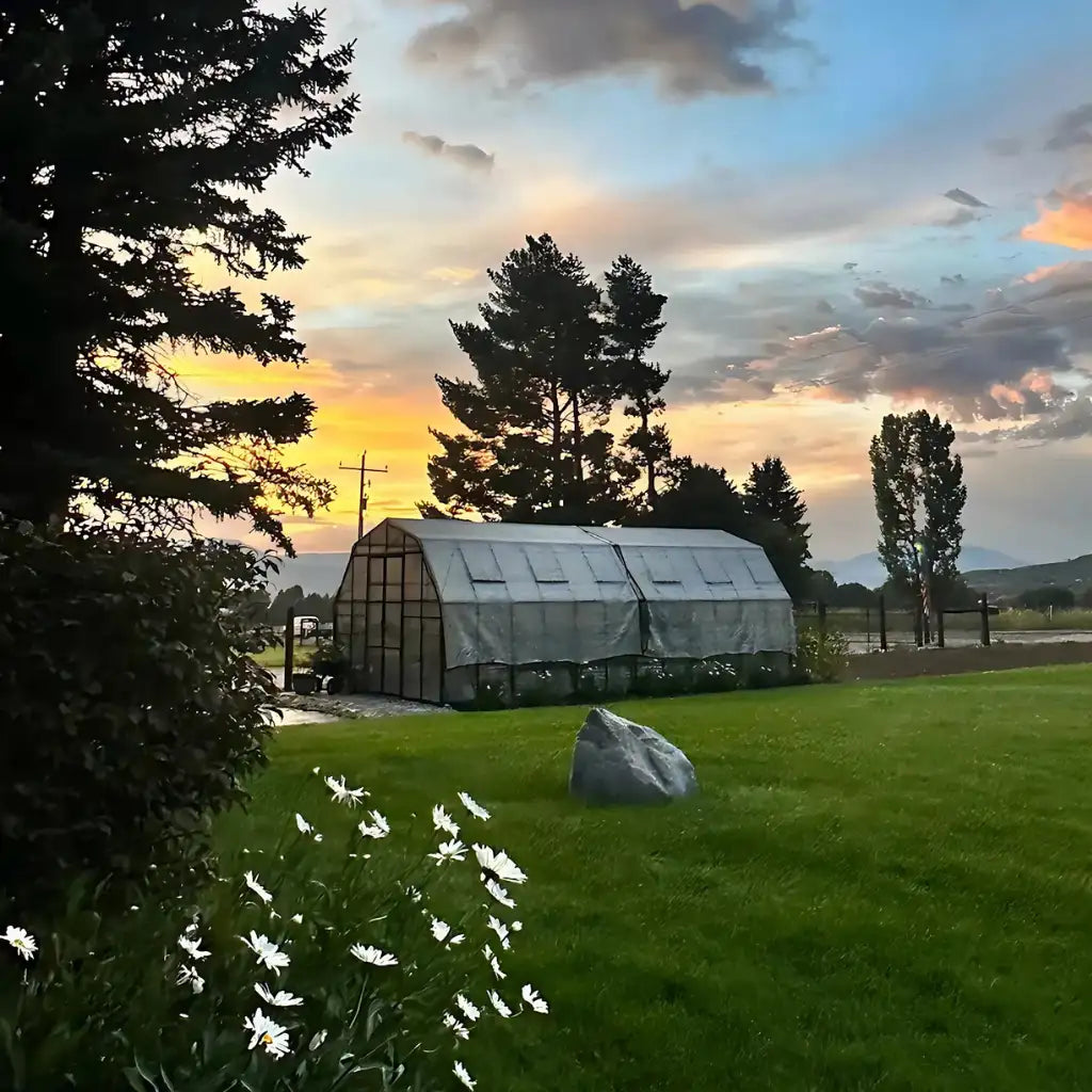 Grandio Summit 12x24 Greenhouse